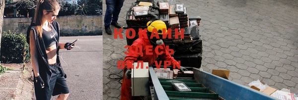 ALPHA PVP Мегион
