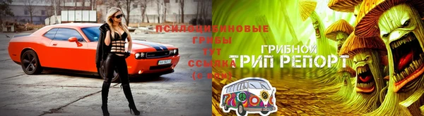 экстази Алзамай
